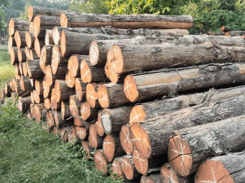 sa-mahogany-logs